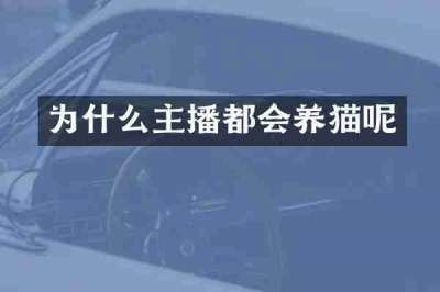 为什么主播都会养猫呢