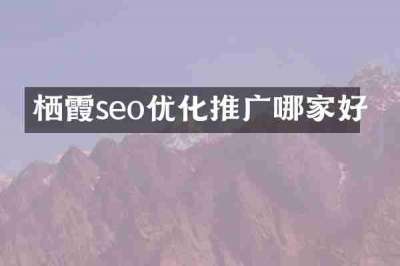 栖霞seo优化推广哪家好