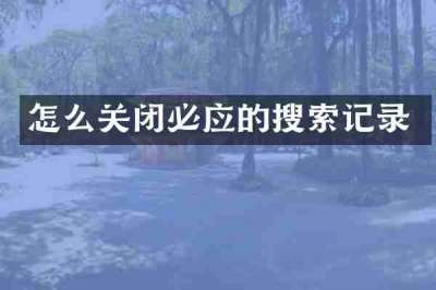 怎么关闭必应的搜索记录