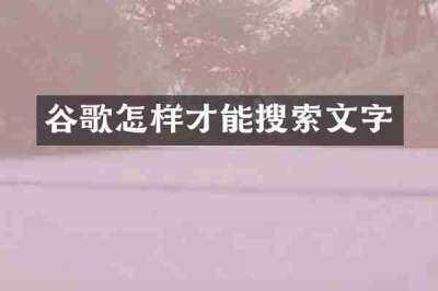 谷歌怎样才能搜索文字