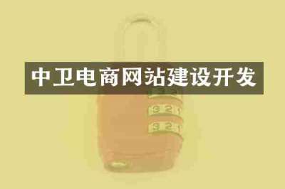 中卫电商网站建设开发