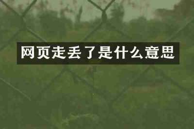 网页走丢了是什么意思