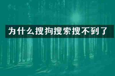 为什么搜狗搜索搜不到了