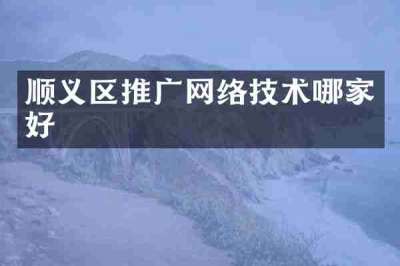 顺义区推广网络技术哪家好