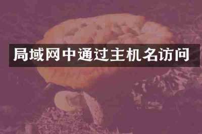 局域网中通过主机名访问