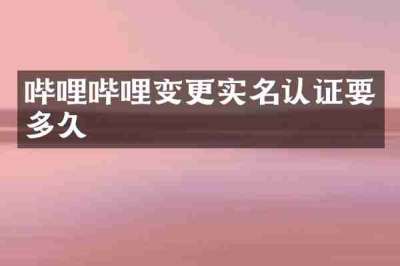 哔哩哔哩变更实名认证要多久
