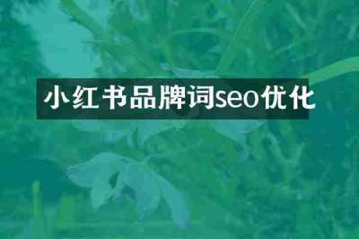 小红书品牌词seo优化