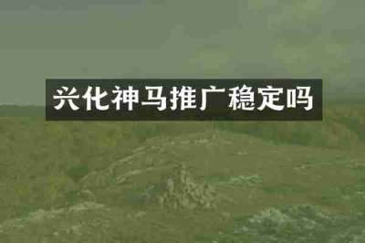 兴化神马推广稳定吗