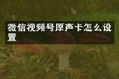 微信视频号原声卡怎么设置