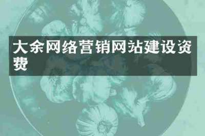大余网络营销网站建设资费