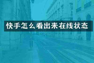 快手怎么看出来在线状态