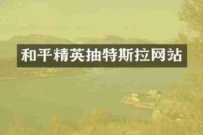 和平精英抽特斯拉网站