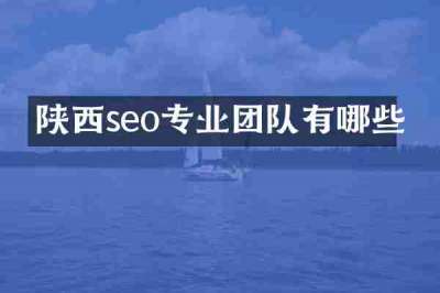 陕西seo专业团队有哪些