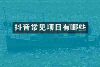 抖音常见项目有哪些