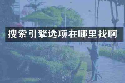搜索引擎选项在哪里找啊