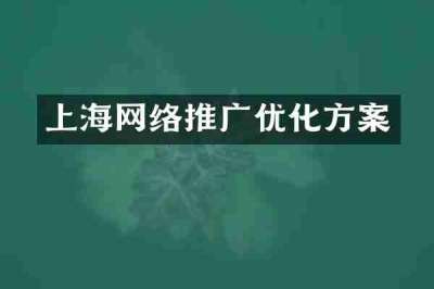 上海网络推广优化方案