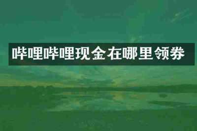哔哩哔哩现金在哪里领券