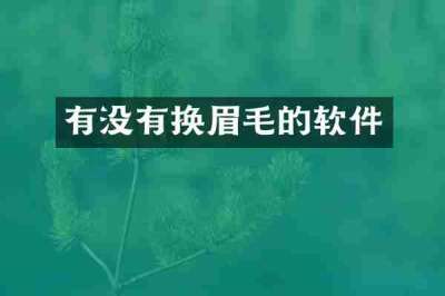 有没有换眉毛的软件