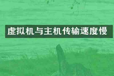 虚拟机与主机传输速度慢
