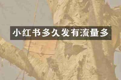 小红书多久发有流量多