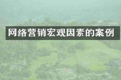 网络营销宏观因素的案例