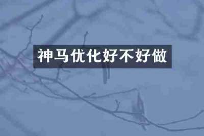 神马优化好不好做