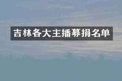 吉林各大主播募捐名单