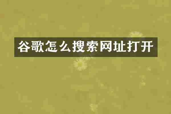 谷歌怎么搜索网址打开