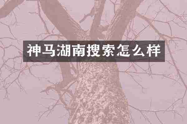 神马湖南搜索怎么样