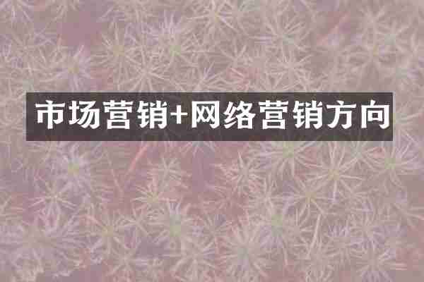 市场营销+网络营销方向