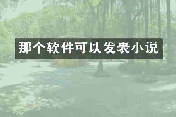 那个软件可以发表小说