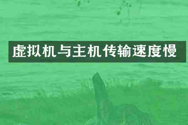 虚拟机与主机传输速度慢