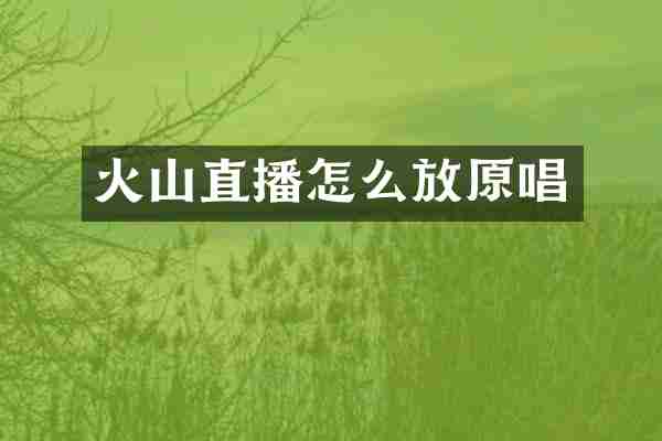 火山直播怎么放原唱