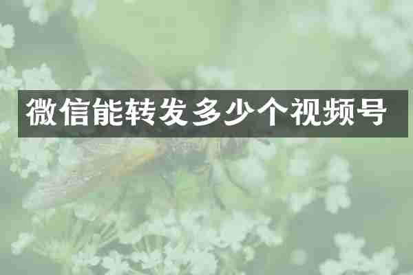 微信能转发多少个视频号
