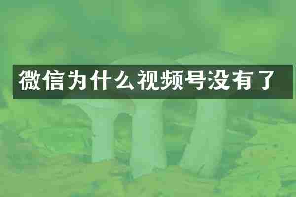 微信为什么视频号没有了