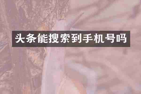 头条能搜索到手机号吗