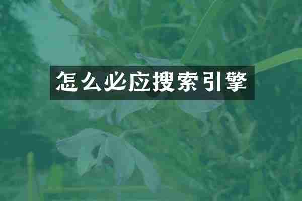 怎么必应搜索引擎
