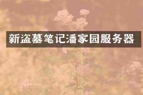 新盗墓笔记潘家园服务器
