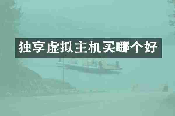 独享虚拟主机买哪个好