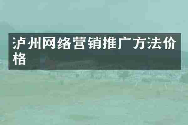 泸州网络营销推广方法价格