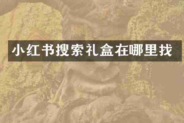 小红书搜索礼盒在哪里找