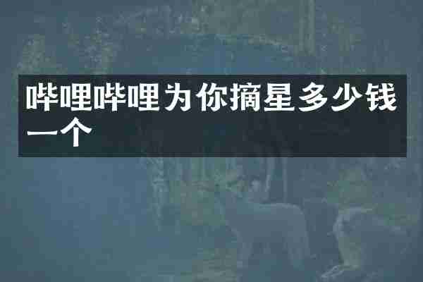 哔哩哔哩为你摘星多少钱一个
