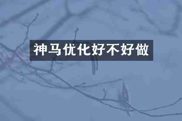 神马优化好不好做