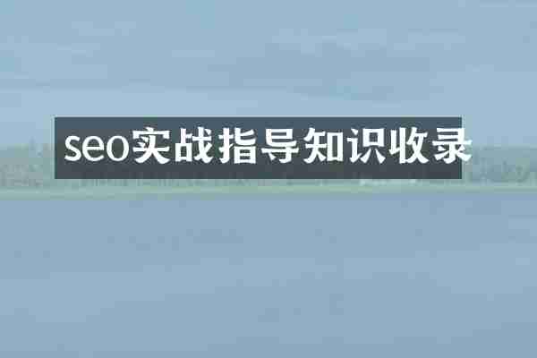 seo实战指导知识收录