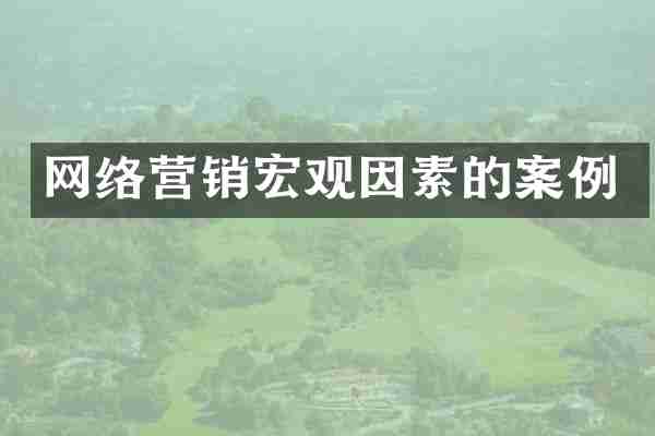 网络营销宏观因素的案例