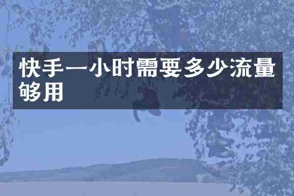 快手一小时需要多少流量够用