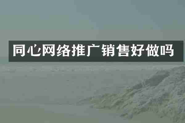 同心网络推广销售好做吗