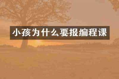 小孩为什么要报编程课