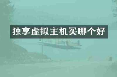 独享虚拟主机买哪个好