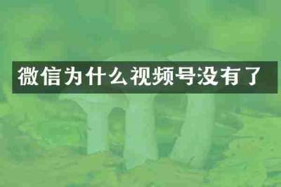 微信为什么视频号没有了